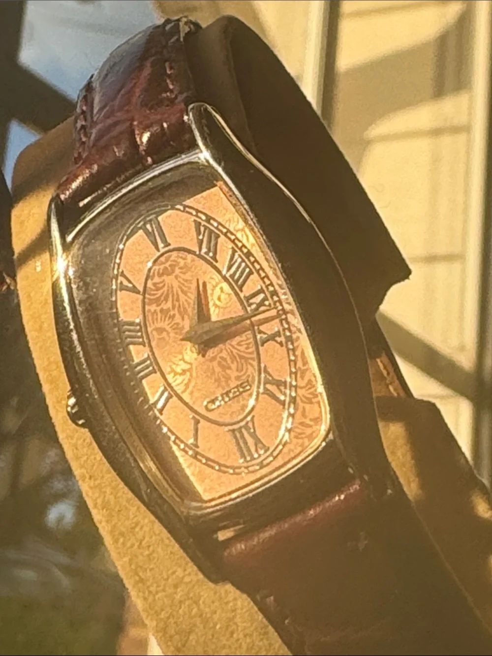 Seiko vintage Silver and Brown Watch